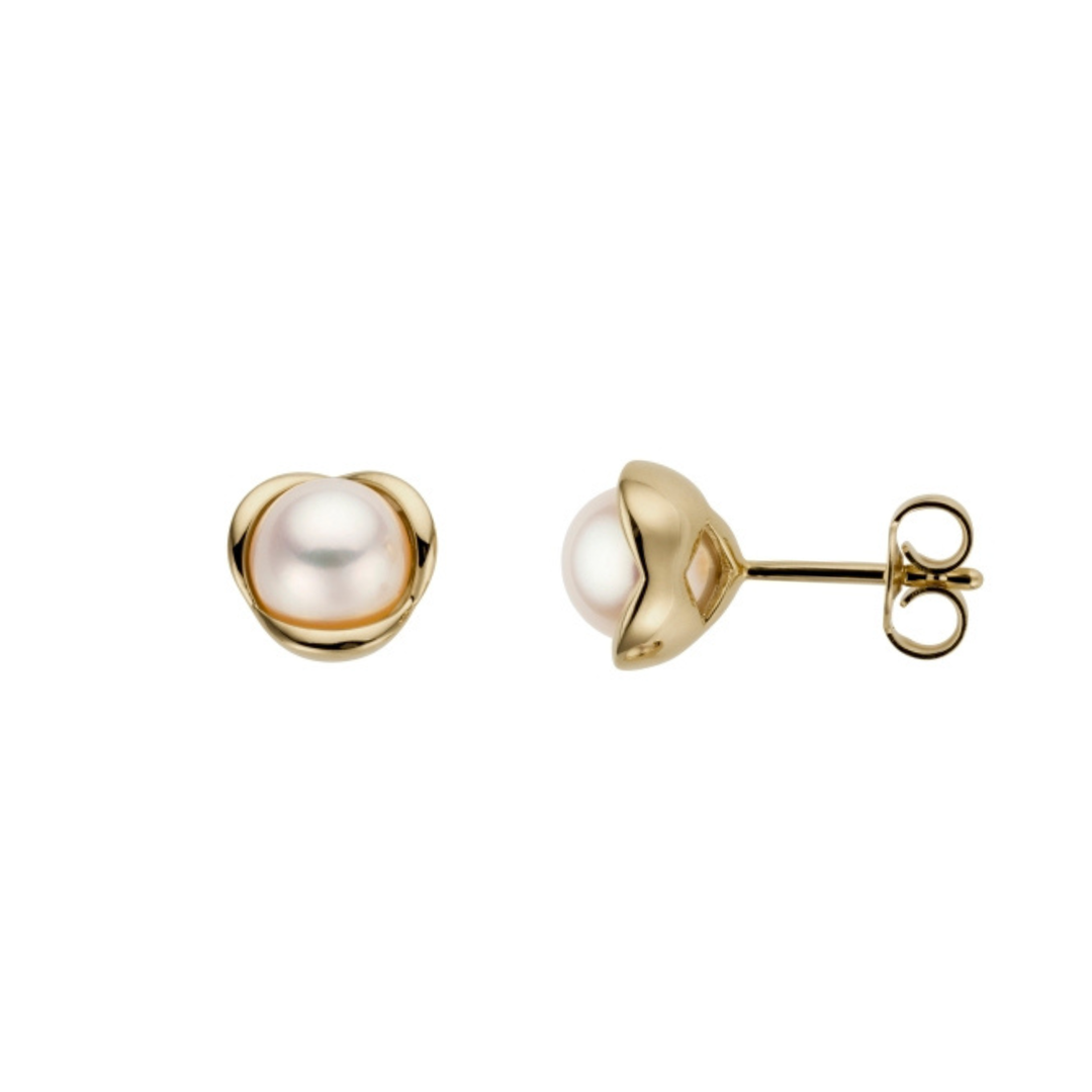14 Karat Yellow Gold 6-6.5mm White Freshwater Cultured Pearl Stud Earrings