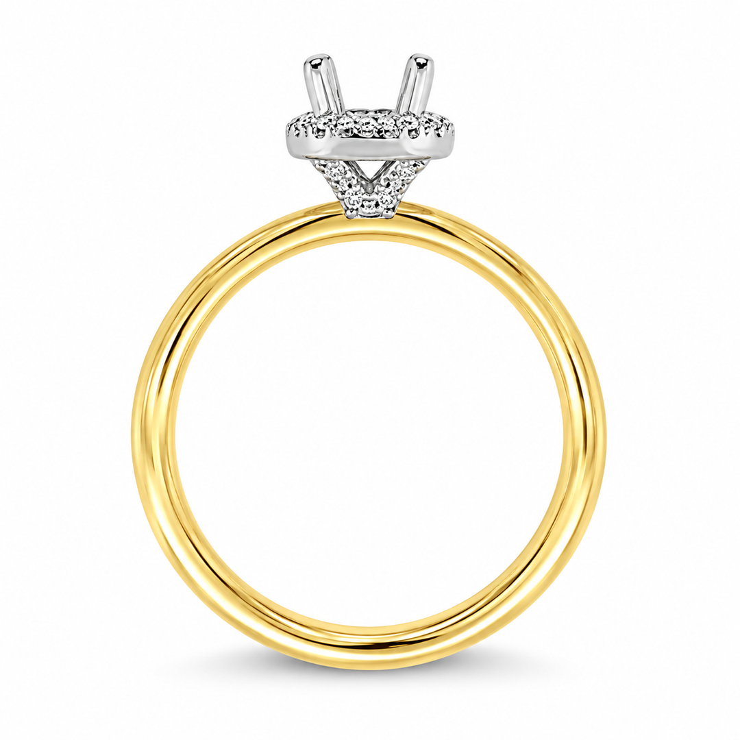 14K Two-tone Gold Halo 0.12 CTW Diamond Set Engagement Ring Semi-Mount