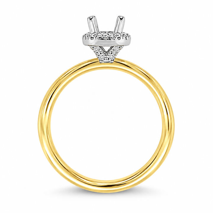 14K Two-tone Gold Halo 0.12 CTW Diamond Set Engagement Ring Semi-Mount