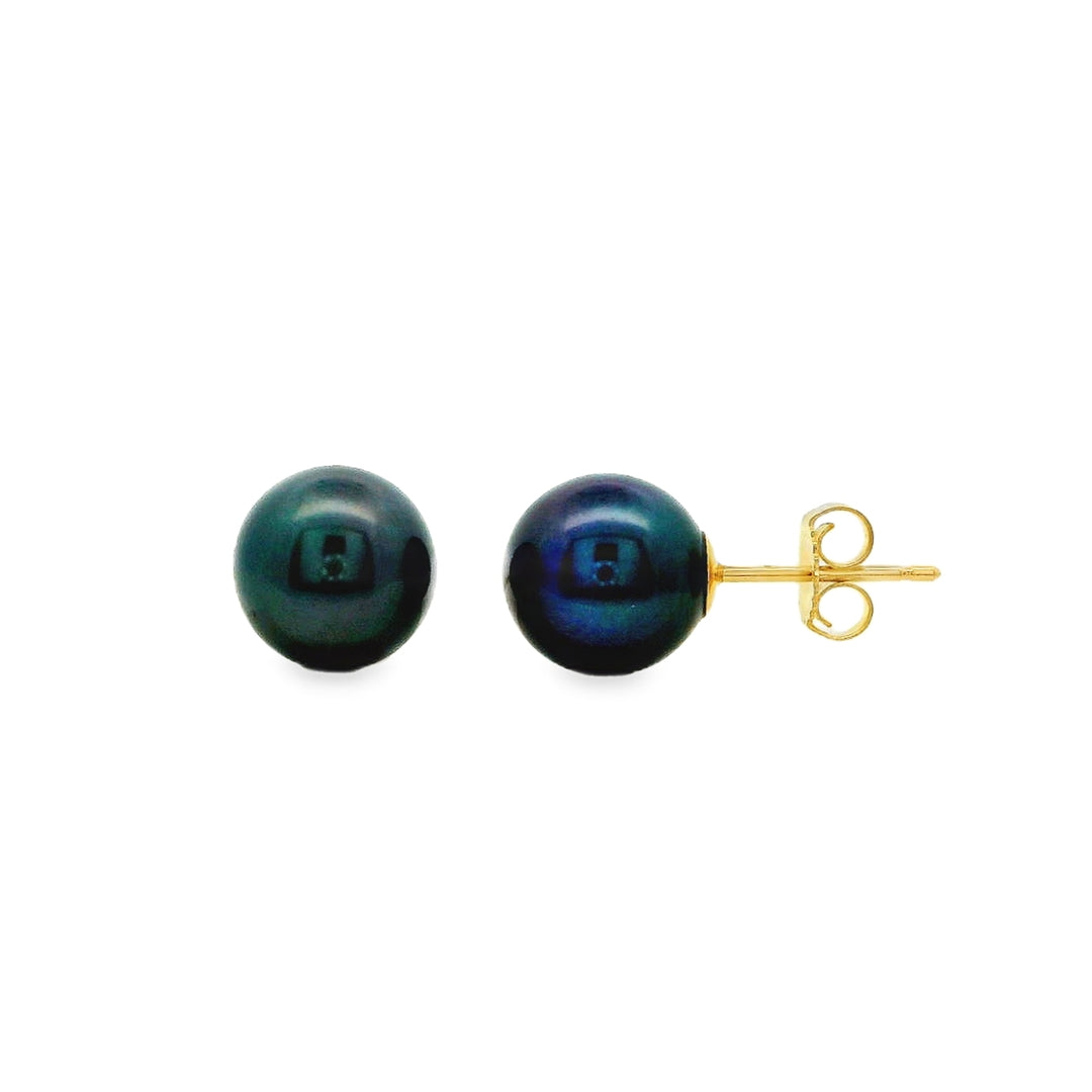 14 Karat Yellow Gold 8-8.5 Black Freshwater Cultured Pearl Stud Earrings