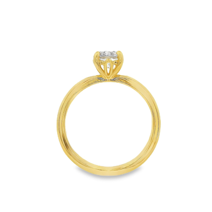 Women's 14K Yellow Gold Solitaire Ring Mount 420-00142