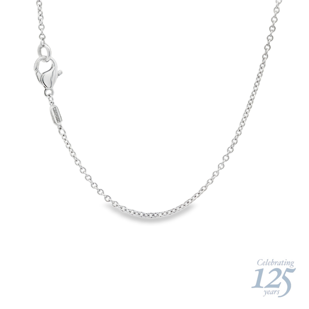 14K White Gold J.H. Young 125th Anniversary 1.26 CTW Diamond Circle Necklace With 18" Chain