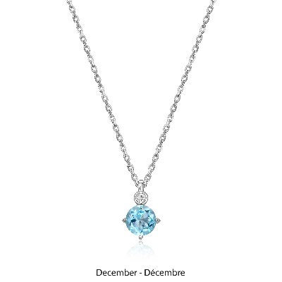 Elle Silver Birthstone - December Necklace