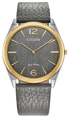 Citizen Suratto Men's Eco-Drive Watch AR3124-07H