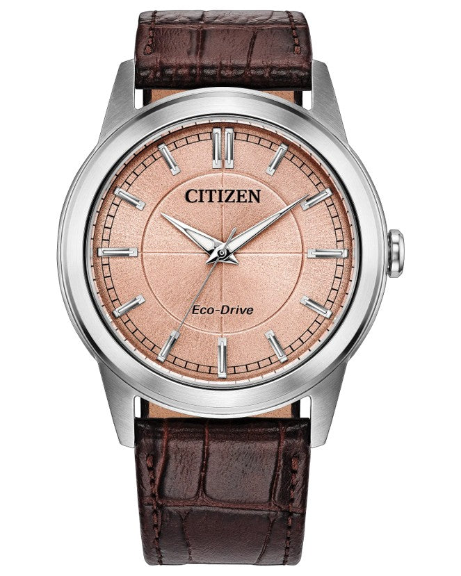 Citizen Rolan Men's Eco-Drive Watch AW2110-14Z